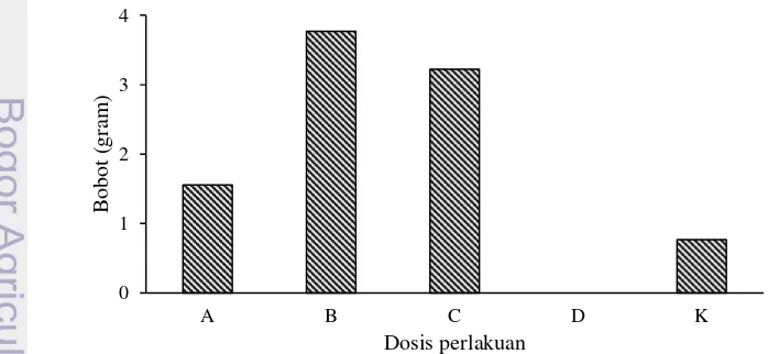 Gambar 2 Bobot mutlak induk jantan dengan perlakuan dosis r 