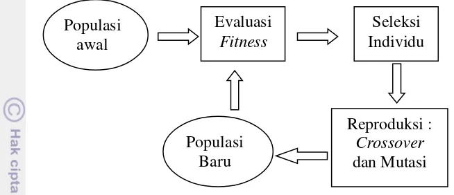Gambar 6 Siklus Algoritme Genetika sederhana (Goldberg 1989) 