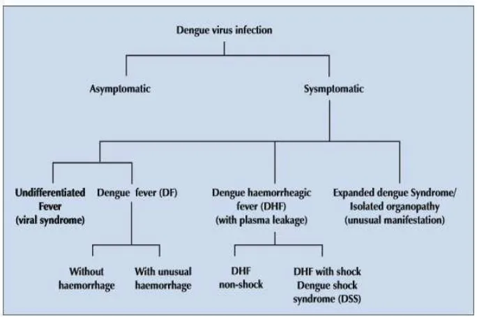 Gambar 3. Klasifikasi Demam Berdarah Dengue (WHO, 2011) 