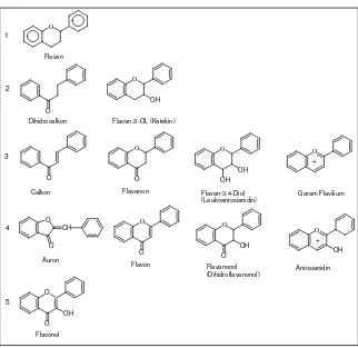 Gambar 4. Tingkat oksidasi senyawa flavonoid (Manitto, 1992) 