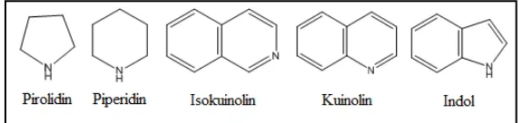 Gambar 5. Klasifikasi alkaloid berdasarkan cincin heterosiklik nitrogen 