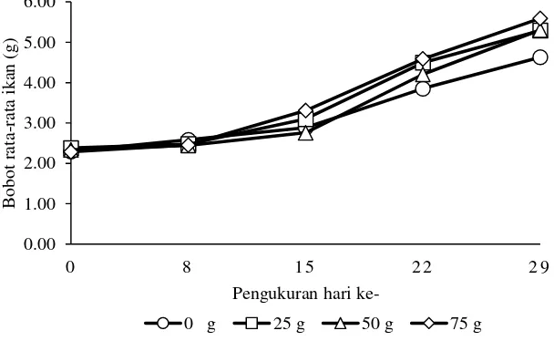 Gambar 2 Bobot rata-rata ikan nila selama penelitian dengan perlakuan penambahan bobot Hydrilla verticillata yang berbeda