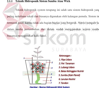 Gambar 2.1 Hidroponik 