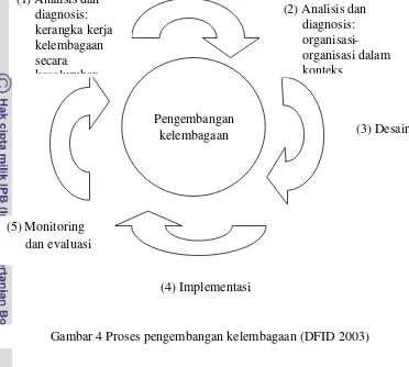 Gambar 4 Proses pengembangan kelembagaan (DFID 2003) 