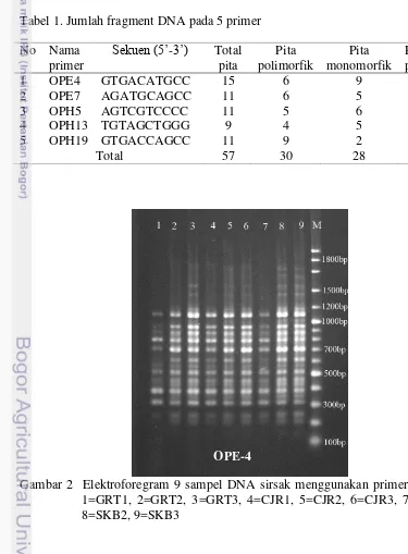 Tabel 1. Jumlah fragment DNA pada 5 primer 