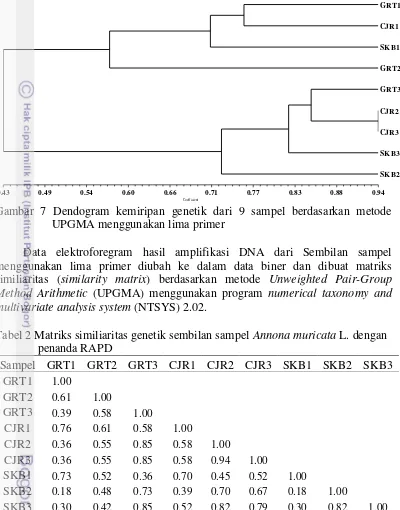 Gambar 7 Dendogram kemiripan genetik dari 9 sampel berdasarkan metode 