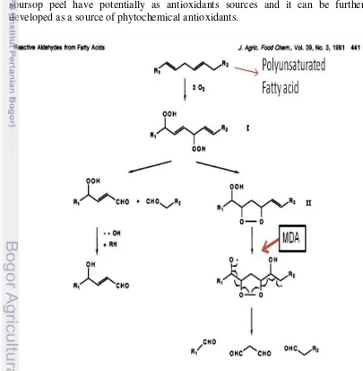 Figure 6. Mechanism of lipid peroxidation (Tamura et al. 1991) 