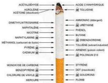 Gambar 6 Bahan-bahan berbahaya pada rokok (Sumber : Sitepoe 2000a)  Nikotin  merupakan  unsur  kimia  beracun  pada  rokok