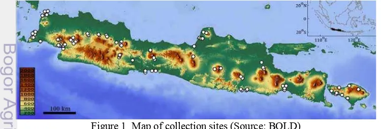 Figure 1  Map of collection sites (Source: BOLD) 
