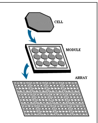 Figure 2.2: PV cell, PV module and PV array [10]. 
