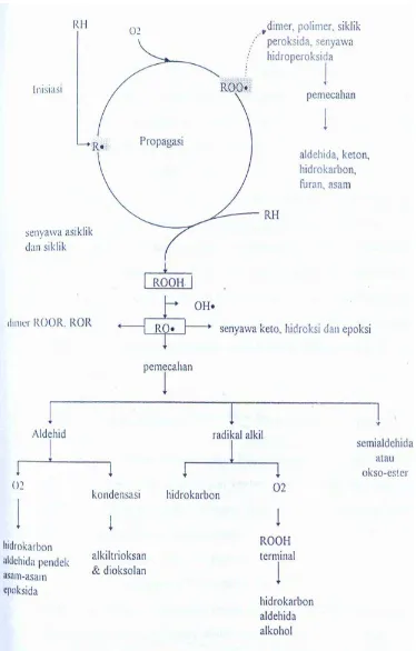 Gambar 1. Skema Umum Oksidasi Lemak (Nawar, 1985) 