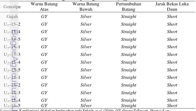 Tabel 6 Karakter kuantitatif daun ubi kayu genotipe Gajah dan mutan (putatif) hasil iradiasi sinar gamma pada 3 BST generasi M1V2 