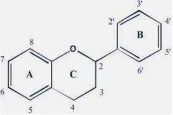 Gambar 2.1 Struktur dasar flavonoid