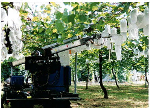 Gambar 1. Robot pemanen anggur. 
