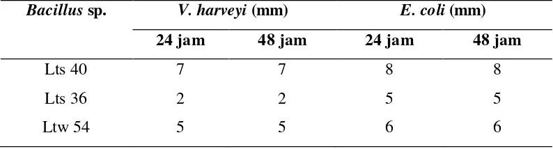 Tabel 2 Indeks penghambatan isolat Bacillus sp. penghasil antimikrob terhadap V.harveyi dan E