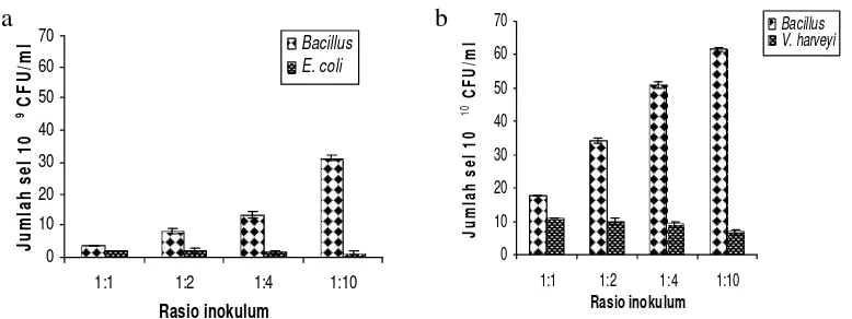 Gambar 6  (a)  Kurva pertumbuhan Bacillus sp. Lts 40 pada media SWC, dan                  