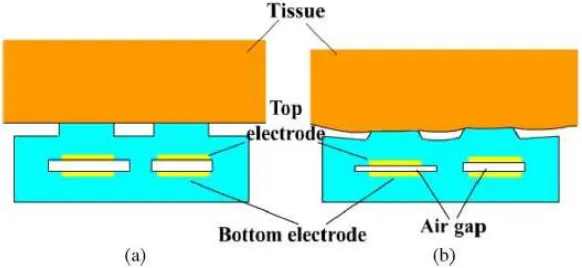 Fig. 1. (a) Schematic diagram of the tactile sensor and the tissue under investigation, (b) Schematic diagram of the contact condition between the tactile sensor and targeted tissue