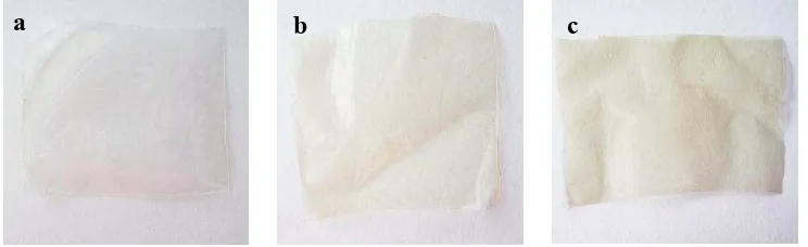 Gambar 5  Kenampakan diafragma PVA 5% (a), komposit chitosan 1%-PVA 5% (b), dan komposit chitosan 2%-PVA 5% (c) 