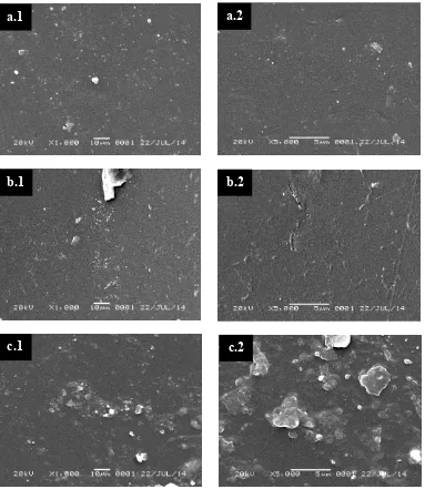 Gambar 6  Analisis SEM permukaan diafragma PVA 5% (a), komposit chitosan 1%-PVA 5% (b), dan komposit chitosan 2%-PVA 5% (c) 
