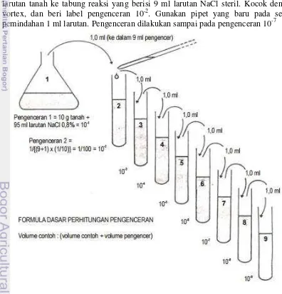 Gambar 4  Tahapan prosedur pengenceran contoh tanah (Balittanah 2007) 