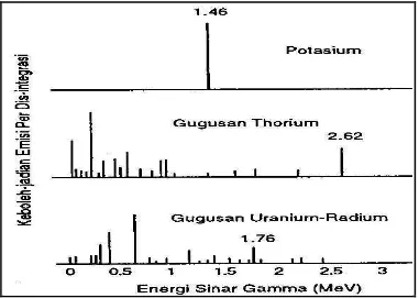 Gambar 3.2. Usur radiasi utama gamma ray ( Harsono , 1997) 