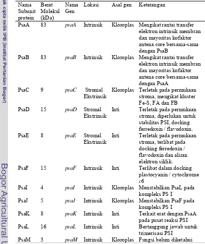 Tabel 1  Diskripsi subunit protein pada fotosistem 1 (PSI) (Hiyama 1997; Webber  et al