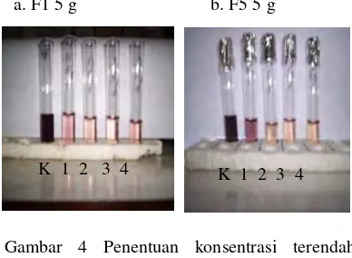 Gambar 4 Penentuan konsentrasi terendah formulasi F1 5 g dan F5 5 g. Sebanyak 5 g yang diambil dari formulasi 1 g Omphalina sp