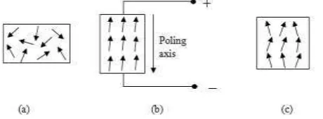 Fig. 1: Schematic diagram of the electrical domain: (a) before polarisation, (b) during polarisation and (c) after polarisation