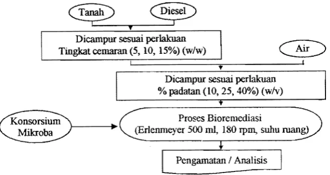 Gambar 2. Bagan alir penelitian scale up  