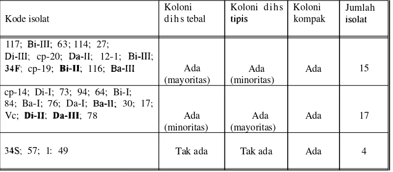 Tabel 1. Sebaran Bentuk Koloni S. agalacfiae Isolat Lapang pada Media Semi Padat 