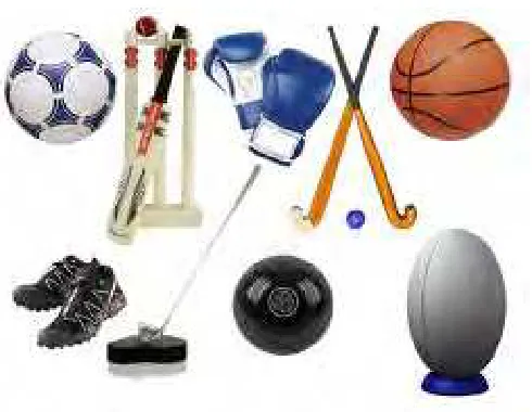 Figure 2.2 : Sports Equipment 