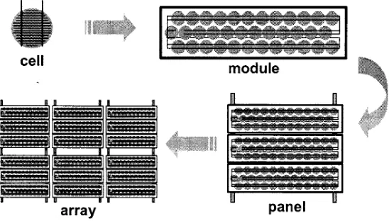 Figure 2.4: PV cells, modules, panels, and array [11]. 