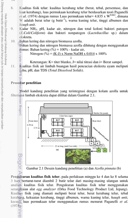 Gambar 2.1 Desain kandang penelitian (a) dan Azolla pinnata (b)  