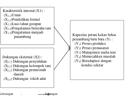 Gambar 1. Kerangka berpikir kapasitas petani kakao bekas penambang batu bara di Kota Sawahlunto Sumatera Barat