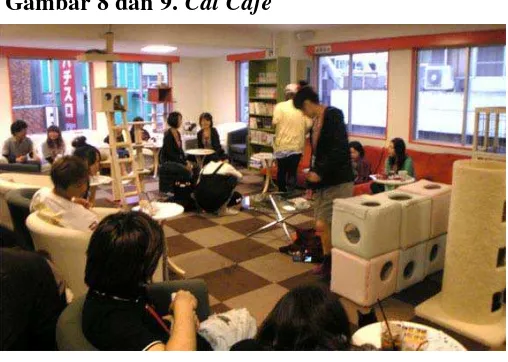 Gambar 8 dan 9. Cat Cafe 