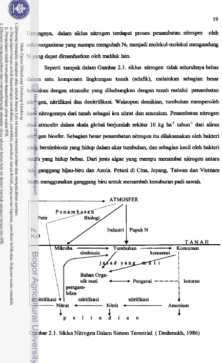 Gambar 2.1. Siklus Nitrogen Dalam Sistem Terestrial ( Deshmukh, 1986) 