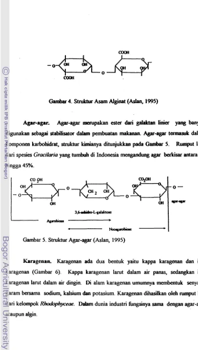 Gambar 4. StruLtur Asam Alginat (Aslan, 1995) 