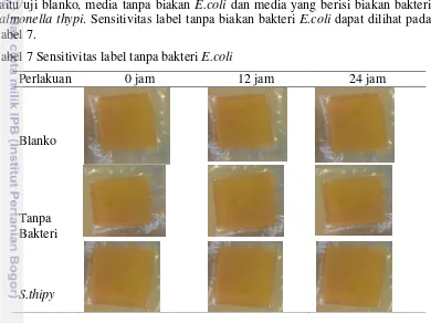 Tabel 7. Tabel 7 Sensitivitas label tanpa bakteri E.coli 