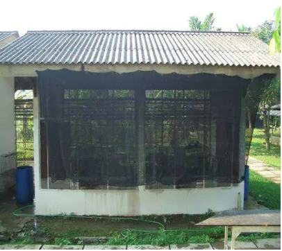 Gambar 9. Kandang Itik Penelitian 