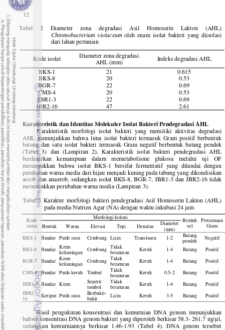 Tabel 3 Karakter morfologi bakteri pendegradasi Asil Homoserin Lakton (AHL) 