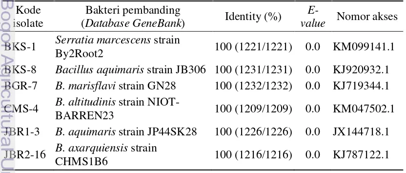 Tabel 5 Homologi sekuen gen 16S rRNA enam isolat bakteri pendegradasi Asil 