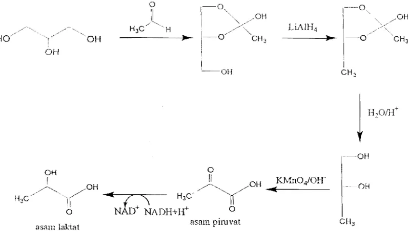 Gambar 7.  Proses sintesa asam laktat dari gliserol 