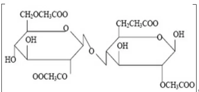 Gambar 3. Struktur kimia Carboxy Methyl Cellulose (Kristanoko, 1996) 