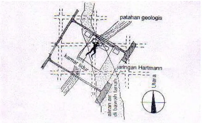 Gambar 3. Peta jaringan Hartmann dan Curry, serta aliran air bawah tanah.  (Sumber: Heinz Frick, 1999) 