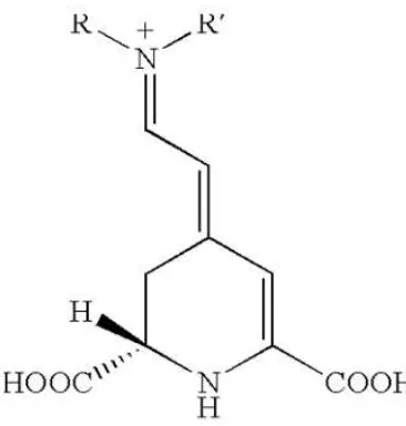 Gambar 1. Struktur Kimia Senyawa Betalain (SCI, 2015)                                                     