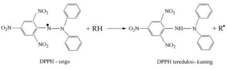 Gambar 2. Reaksi DPPH dengan senyawa antioksidan (Molyneux, 2004) 