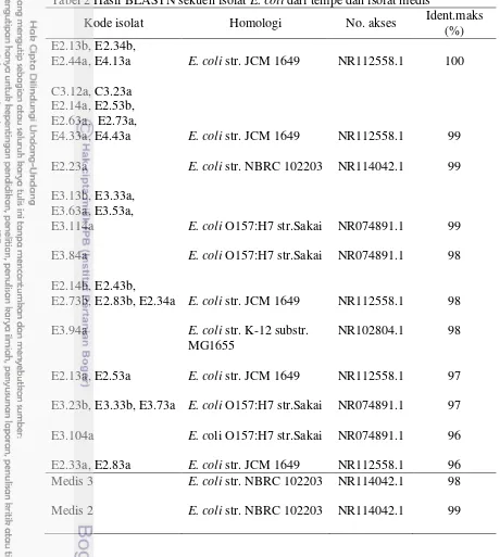 Tabel 2 Hasil BLASTN sekuen isolat E. coli dari tempe dan isolat medis 