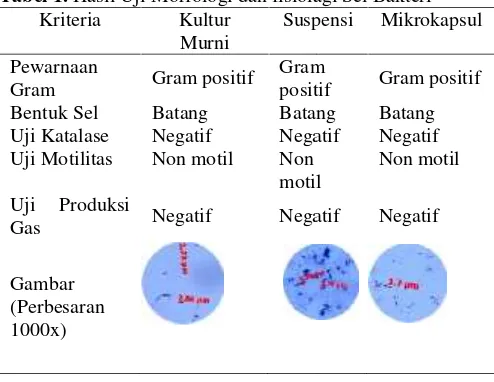 Tabel 1. Hasil Uji Morfologi dan fisiolaiolagi Sel Bakteri