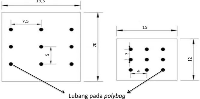 Gambar 1. Skema titik pengukuran suhu arang sekam di dalam polybag (tampak depan). (a) Polybag A, (b) Polybag B  