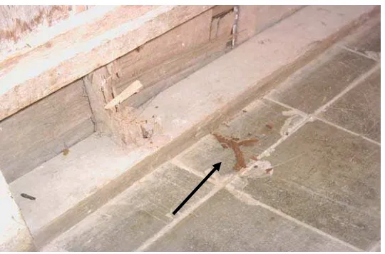 Gambar 2 Contoh lubang kembara pada lantai berlubang yang dibuat rayap tanah. 